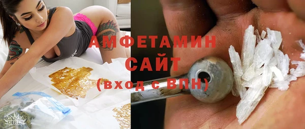 хмурый Новозыбков