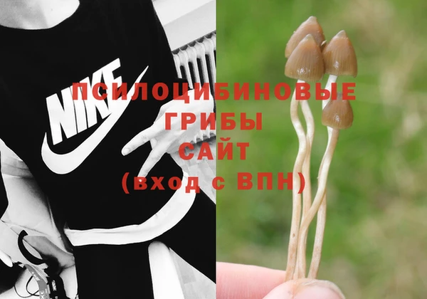 меф Новодвинск