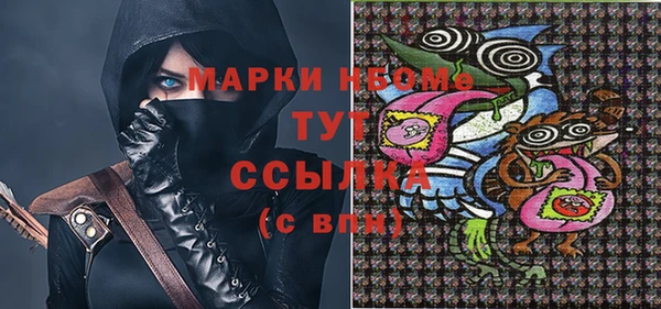 хмурый Новозыбков