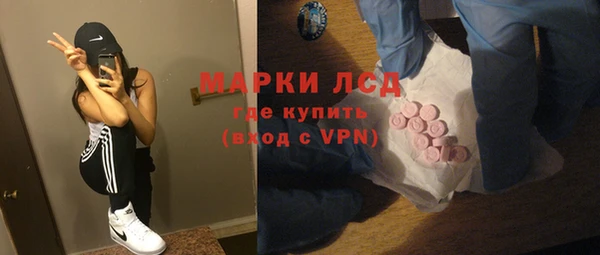 хмурый Новозыбков