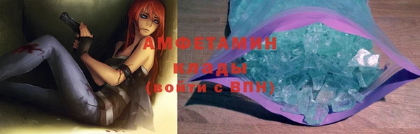 прущие грибы Нефтекумск