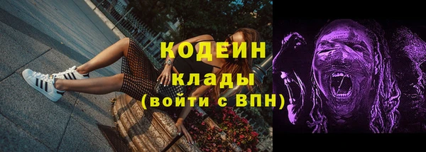 хмурый Новозыбков