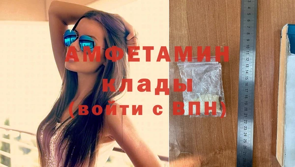 прущие грибы Нефтекумск