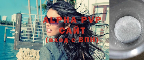 хмурый Новозыбков