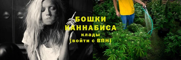 хмурый Новозыбков