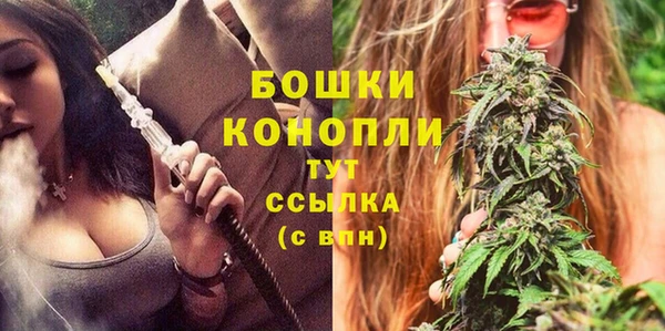 хмурый Новозыбков